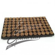 Speedgrow plugs round 38 x 35mm (tray 84 pcs)