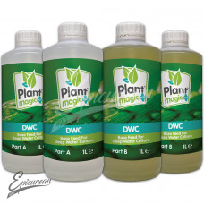 DWC (2-part) 5L