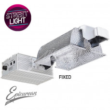 Street Light DE HPS 1000W Fixed Full Fixture