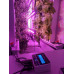 EGROWR Connected Hydroponic Measuring Device