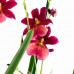 Cambria Nelly Isler 2T (4 stuks)