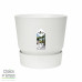 Polyscias Fabian in Elho® Greenville pot
