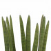 Decorum Sansevieria Cylindrica straight met Elho brussels black