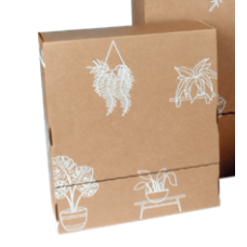 Shipping Box 3x Mini Plants Mix&Match