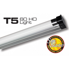 Sunblaster T5HO 60 cm 24 watt 6400 Kelvin